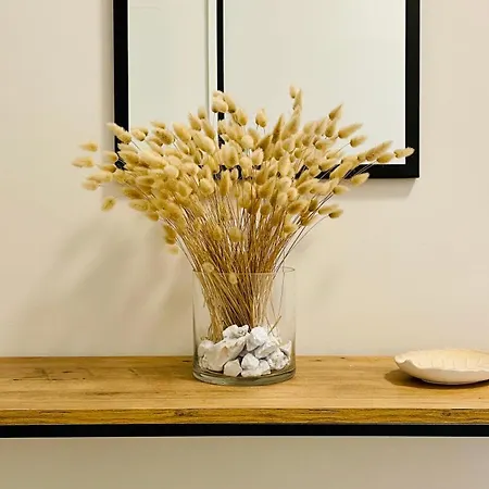 Nova Center ديفيجاكه